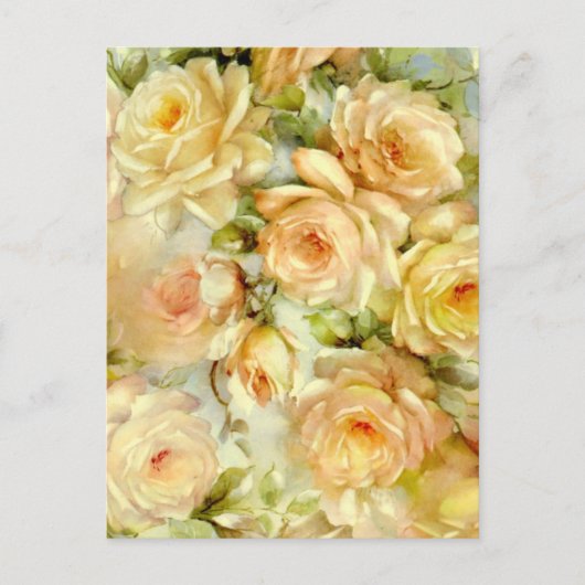 平和バラ ポストカード (正面)