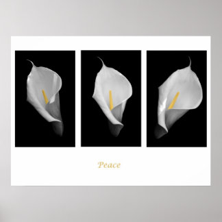 平和ポスター ポスター