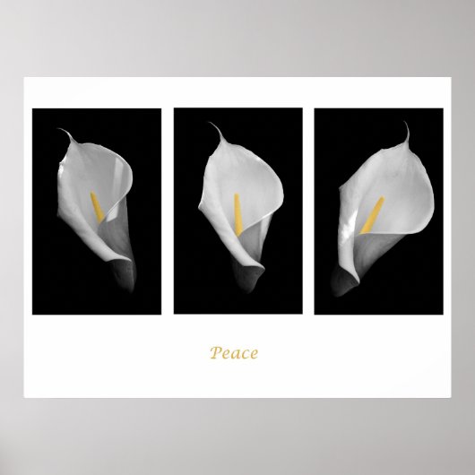 平和ポスター ポスター (正面)