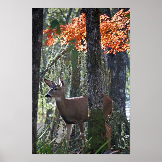 「平和ポートレート」 ポスター (正面)