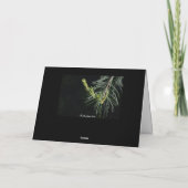 平和休日カード シーズンカード (裏面)