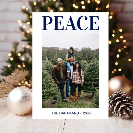 平和写真 シーズンカード