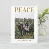 平和写真 シーズンカード (スタンド正面)