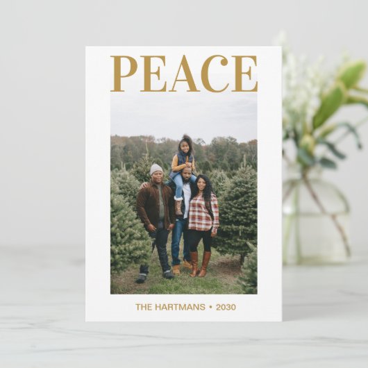 平和写真 シーズンカード (スタンド正面)