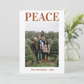 平和写真 シーズンカード (スタンド正面)