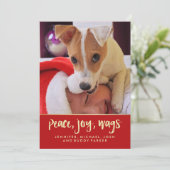 平和喜びは|をあなたの犬のクリスマスの写真振ります シーズンカード (スタンド正面)
