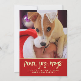 平和喜びは|をあなたの犬のクリスマスの写真振ります シーズンカード