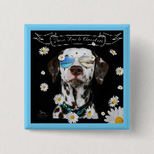 平和愛チョコレートダルマチア人