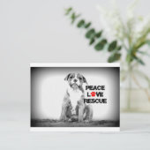 平和愛救助犬 ポストカード (スタンド正面)