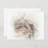 平和猫デジタル鉛筆スケッチアート ポストカード (正面/裏面)