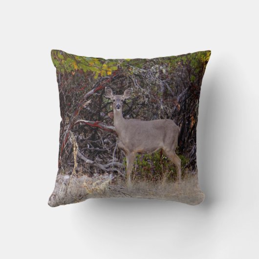 平和的に… クッション (裏面)