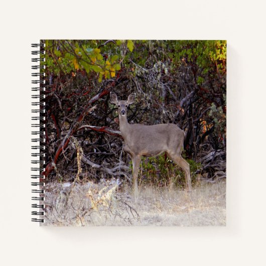 平和的に… ノートブック (正面)