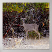 平和的に… ポスター (正面)