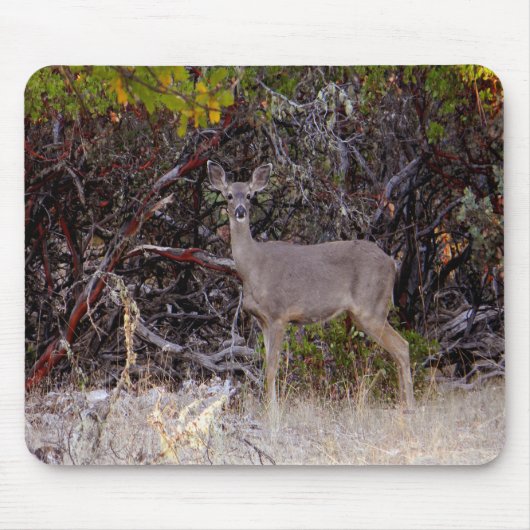 平和的に….. マウスパッド (正面)