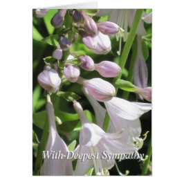 平和的テンプレートグループ弔意お見舞いカード