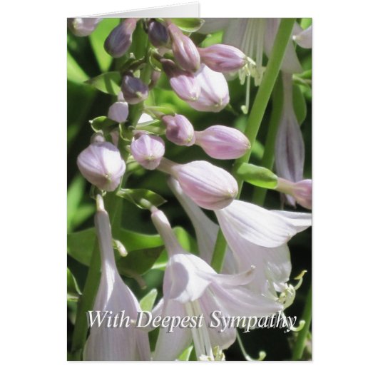 平和的テンプレートグループ弔意お見舞いカード (正面)