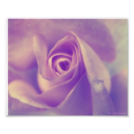 平和的休息 フォトプリント            (正面)