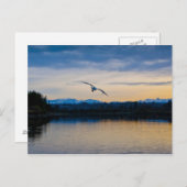 平和的夕べ ポストカード (正面/裏面)