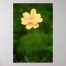 平和的調和 ポスター