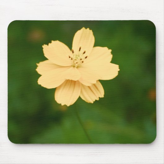 平和的調和 マウスパッド (正面)