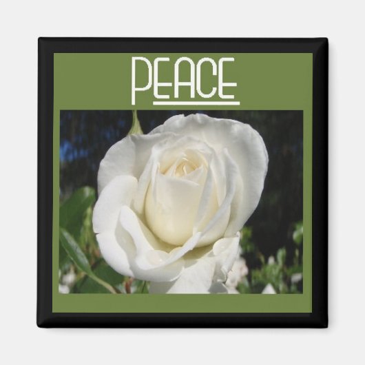 平和磁石 マグネット (正面)