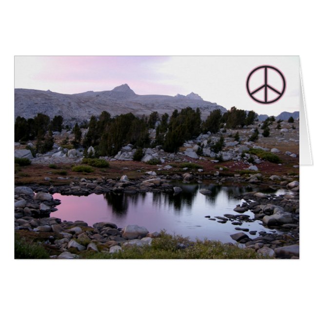 平和運動家カード (正面横)