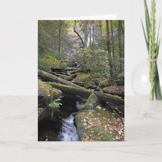 平和 カード (正面)