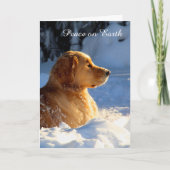 平和 シーズンカード (正面)