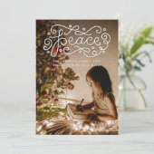 平和 ハンドレタード フォト シーズンカード (スタンド正面)