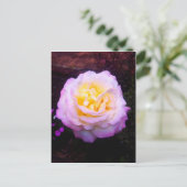 「平和」バラ ポストカード (スタンド正面)