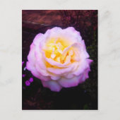 「平和」バラ ポストカード (正面)
