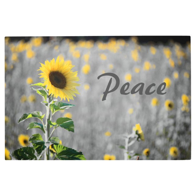 「平和」フレーズ、ひまわりのフィールド、ブラック&ホワイト メタルプリント (正面)