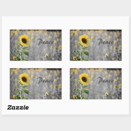「平和」フレーズ、ひまわりのフィールド、ブラック&ホワイト 長方形シール
