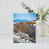 「平和」 ポストカード (スタンド正面)