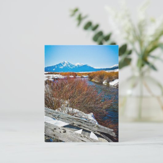 「平和」 ポストカード (スタンド正面)