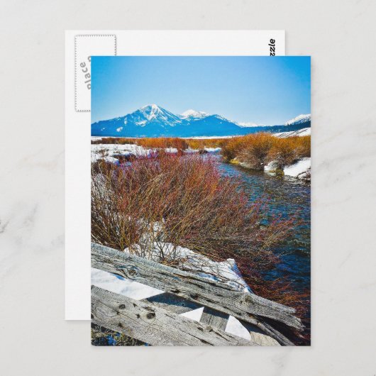 「平和」 ポストカード (正面/裏面)