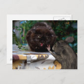 平和! ポストカード (正面/裏面)