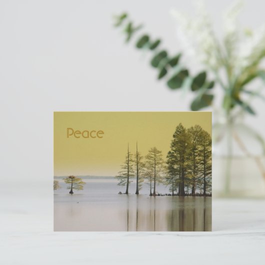 平和 ポストカード (スタンド正面)