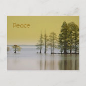 平和 ポストカード (正面)