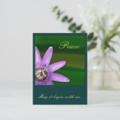 平和 ポストカード (スタンド正面)