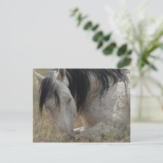 平和 ポストカード (スタンド正面)