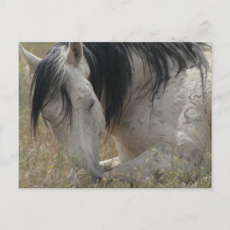 平和 ポストカード