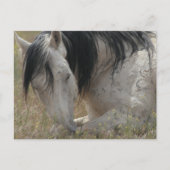 平和 ポストカード (正面)