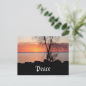 平和 ポストカード (スタンド正面)