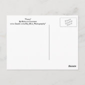 平和 ポストカード (裏面)