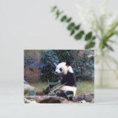 平和 ポストカード (スタンド正面)