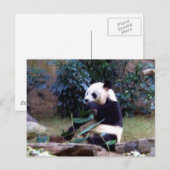 平和 ポストカード (正面/裏面)