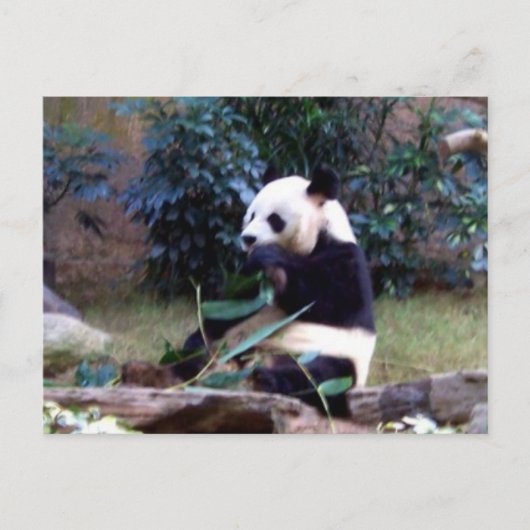 平和 ポストカード (正面)