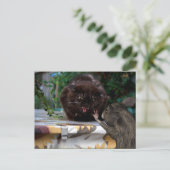 平和！友達になろう ポストカード (スタンド正面)