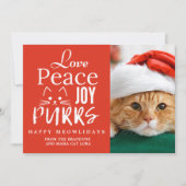 平和 愛 喜び 猫好き フォト ユニーク ペット シーズンカード (正面)